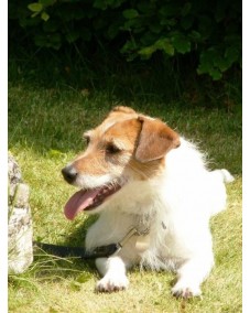 Featured talent Ref: 500071